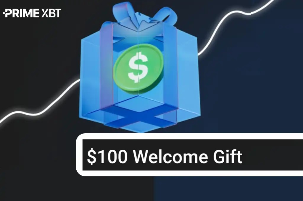 Understanding PrimeXBT Broker A Comprehensive Review