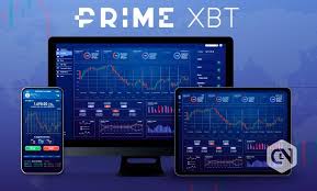 Unlock the Potential of Your Trading with PrimeXBT Bonus