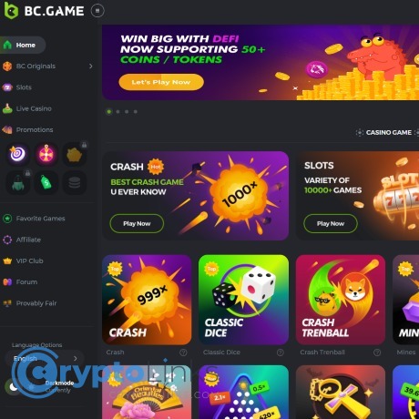 Exploring the Various BC Game Payment Methods Exploring the Various BC Game Payment Methods